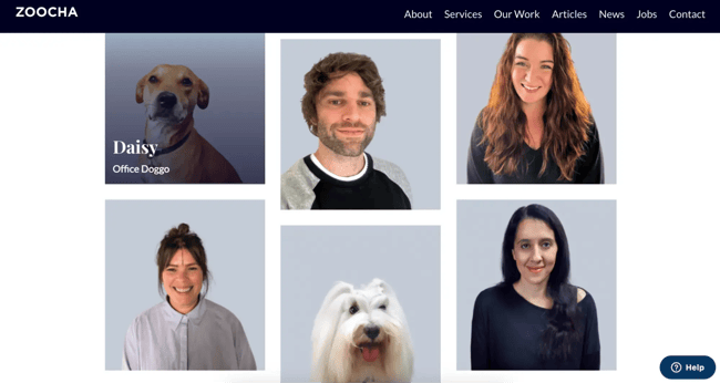 how to personalize team bios on website