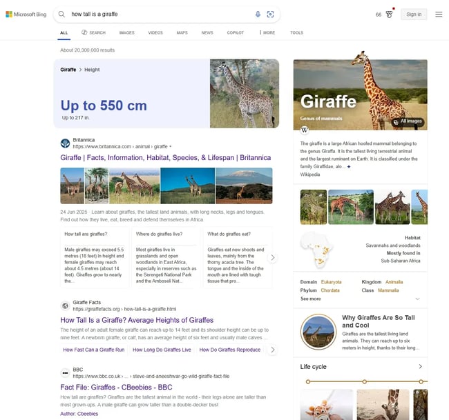 screenshot of bing’s search engine.